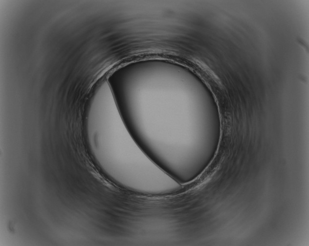 X0000093620969200710151037