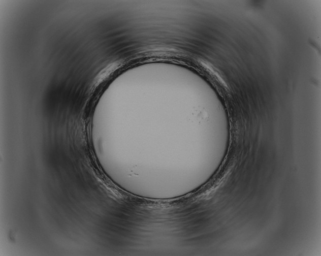 X0000093620970200710151037