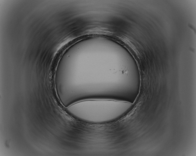 X0000093620971200710151037