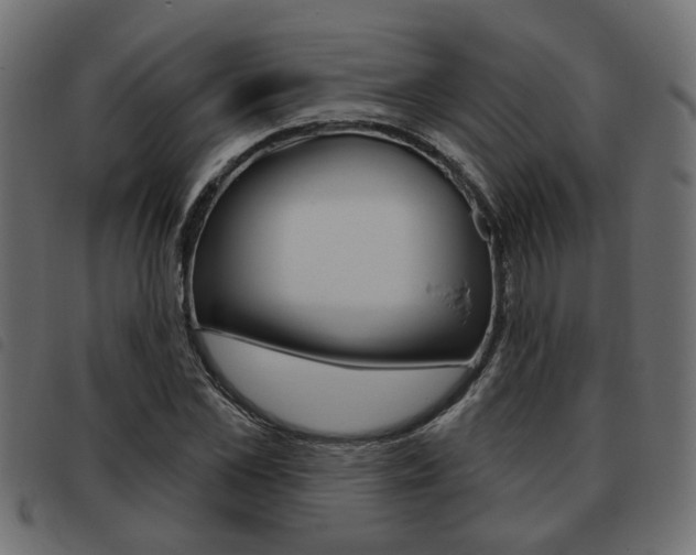 X0000093620973200710151037