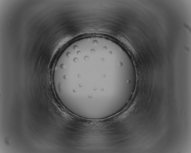 X0000093620974200710151037