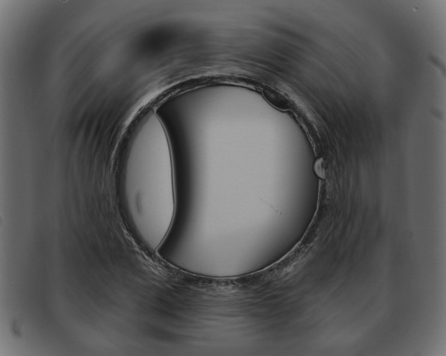 X0000093620975200710151037