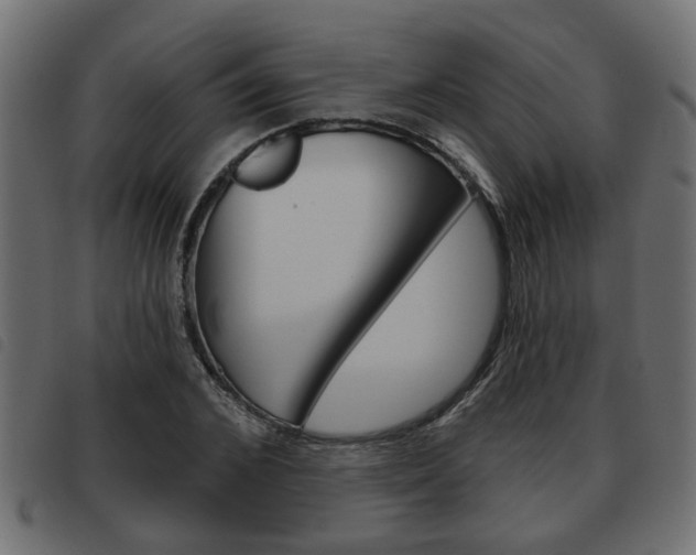 X0000093620976200710151037
