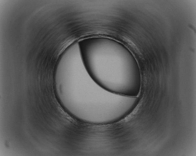 X0000093620977200710151037