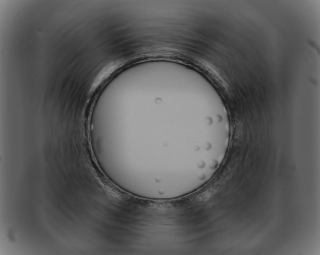 X0000093620978200710151037