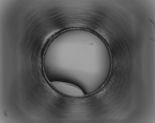 X0000093620979200710151037