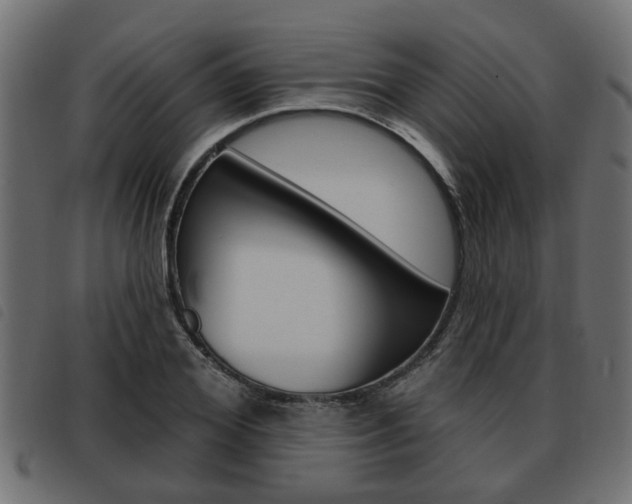 X0000093620980200710151037