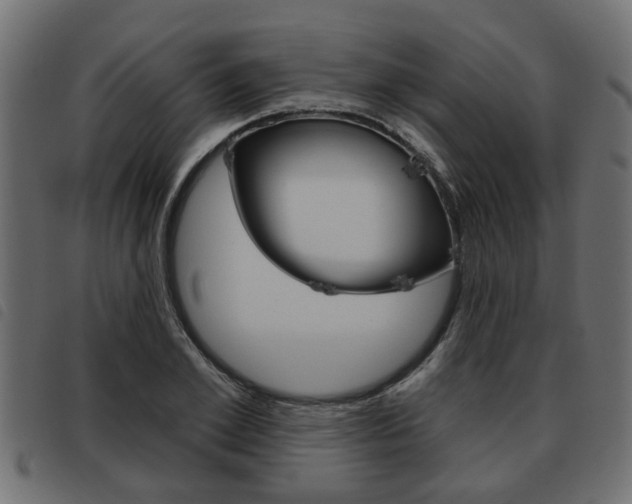 X0000093620981200710151037