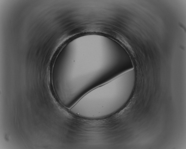 X0000093620984200710151037