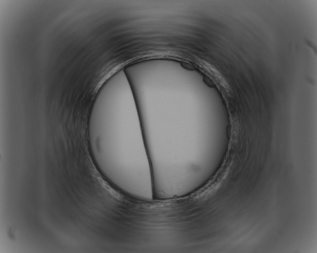 X0000093620985200710151037
