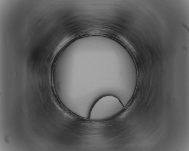 X0000093620986200710151037