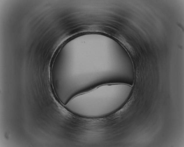 X0000093620988200710151037