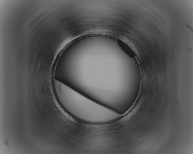 X0000093620989200710151037