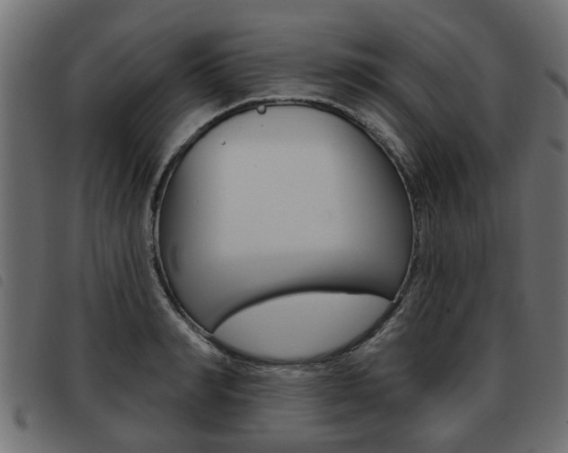 X0000093620990200710151037