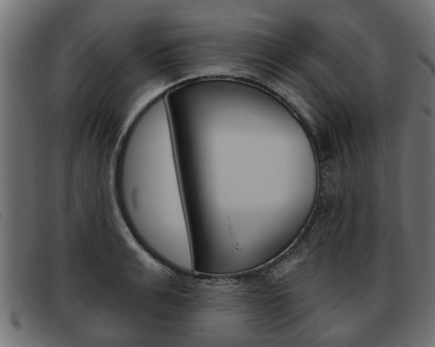 X0000093620991200710151037
