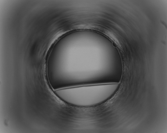 X0000093620992200710151037