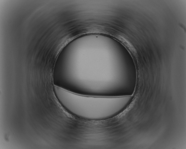 X0000093620993200710151037