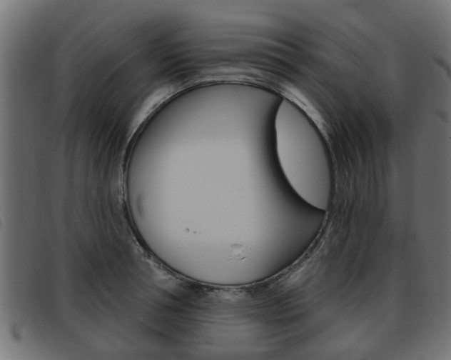 X0000093620994200710151037