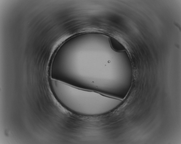 X0000093620995200710151037