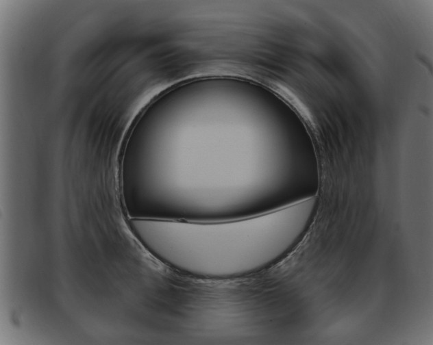 X0000093620996200710151037