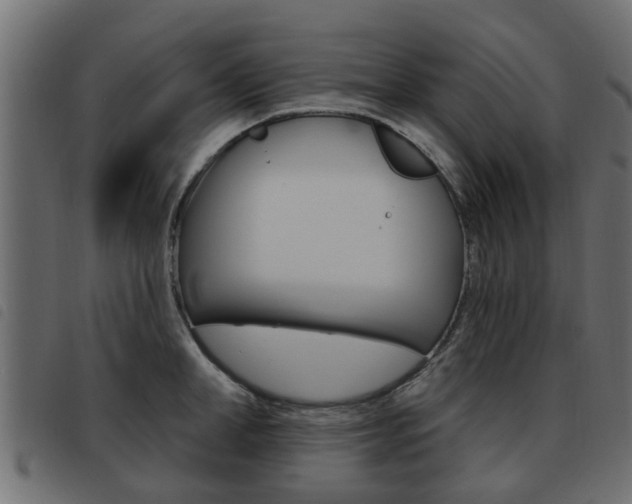 X0000093620998200710151037