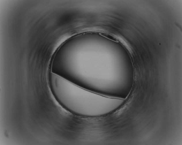 X0000093620999200710151037
