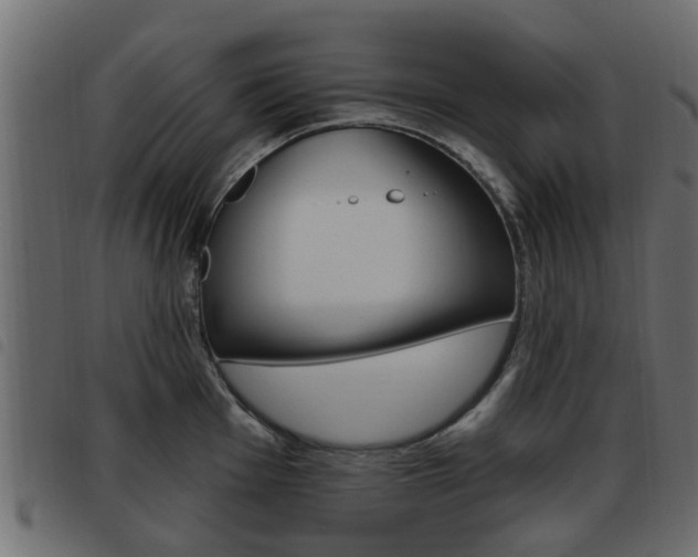 X0000093621001200710151037