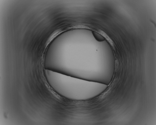 X0000093621002200710151037