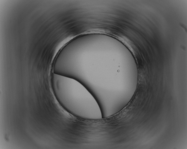 X0000093621003200710151037