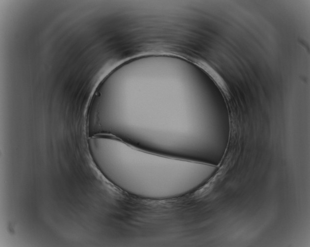 X0000093621004200710151037