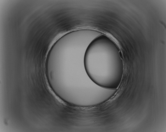 X0000093621005200710151037