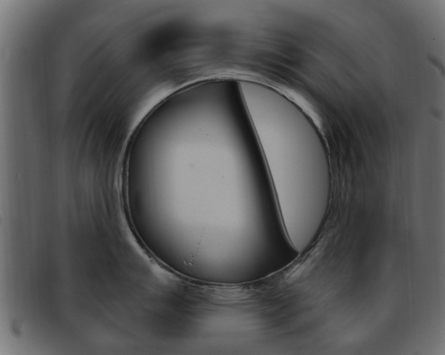 X0000093621007200710151037