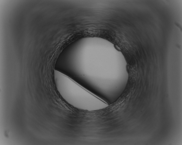 X0000093621009200710151036