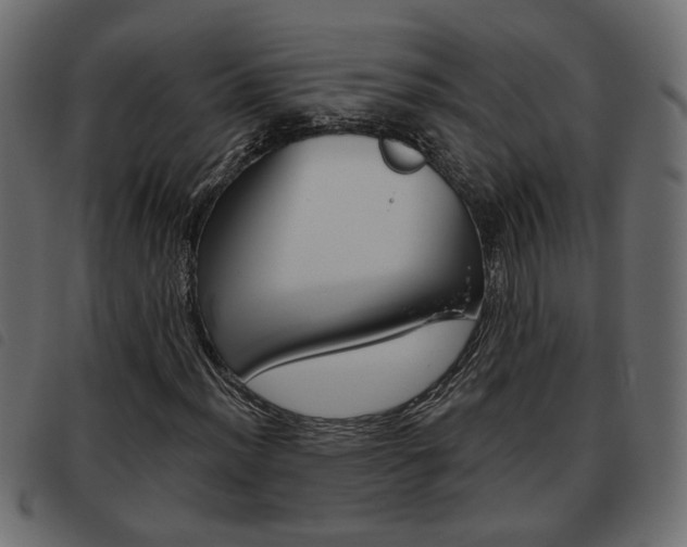 X0000093621012200710151036