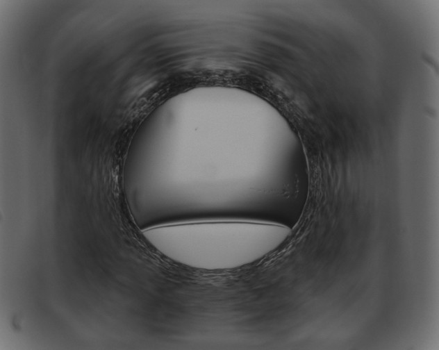 X0000093621013200710151036