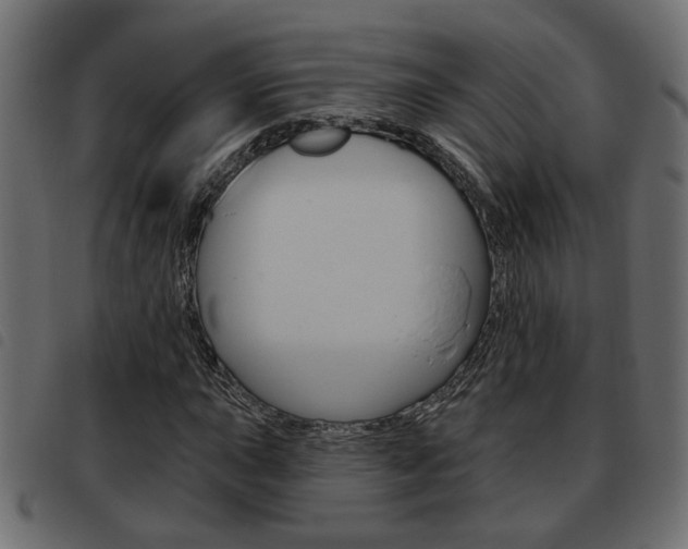 X0000093621015200710151036