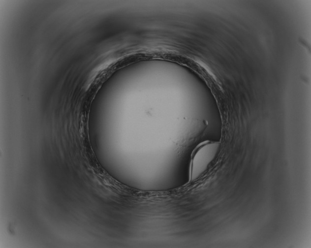 X0000093621016200710151036