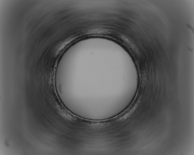 X0000093621017200710151036