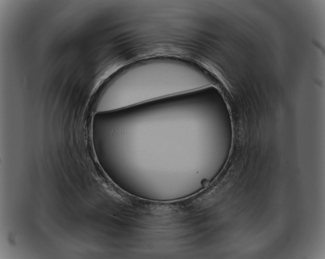 X0000093621018200710151036