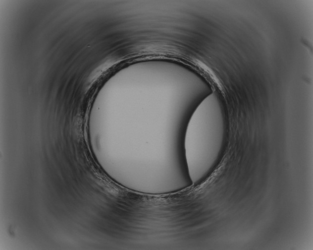 X0000093621019200710151036