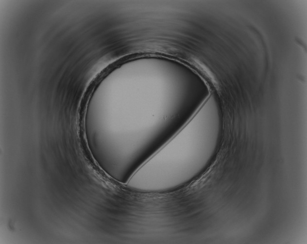 X0000093621020200710151036