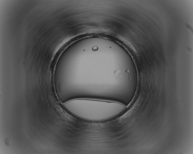 X0000093621021200710151036