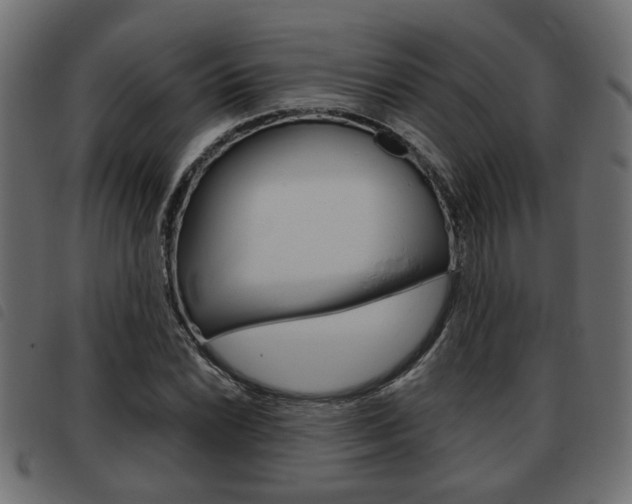 X0000093621022200710151036