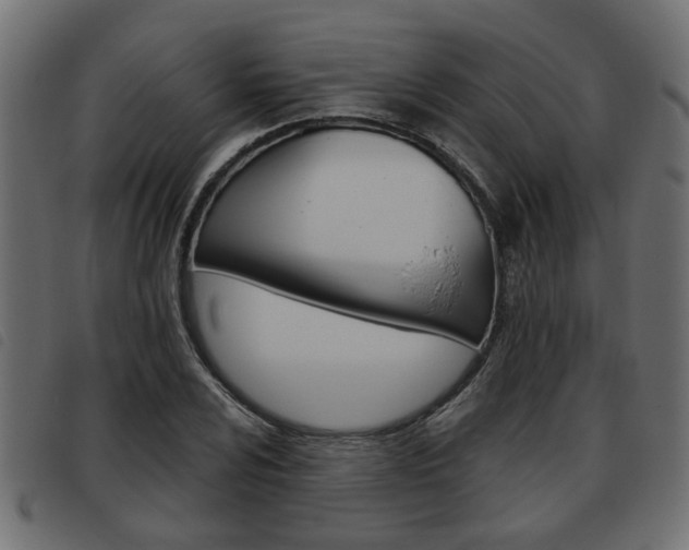 X0000093621024200710151036
