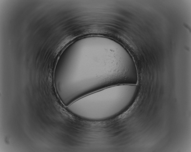 X0000093621025200710151036