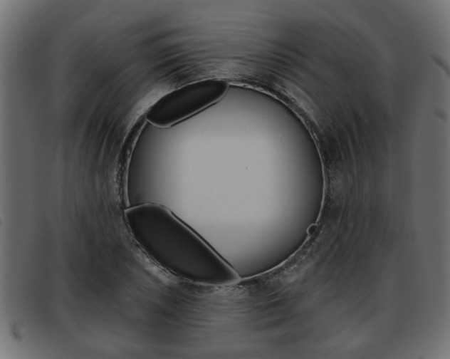X0000093621026200710151036