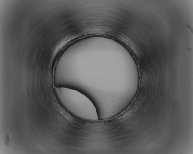 X0000093621027200710151036