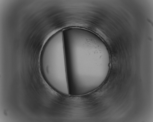 X0000093621028200710151036