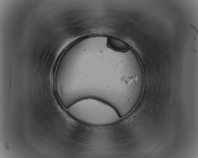 X0000093621032200710151036