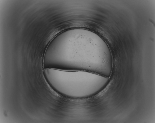 X0000093621033200710151036